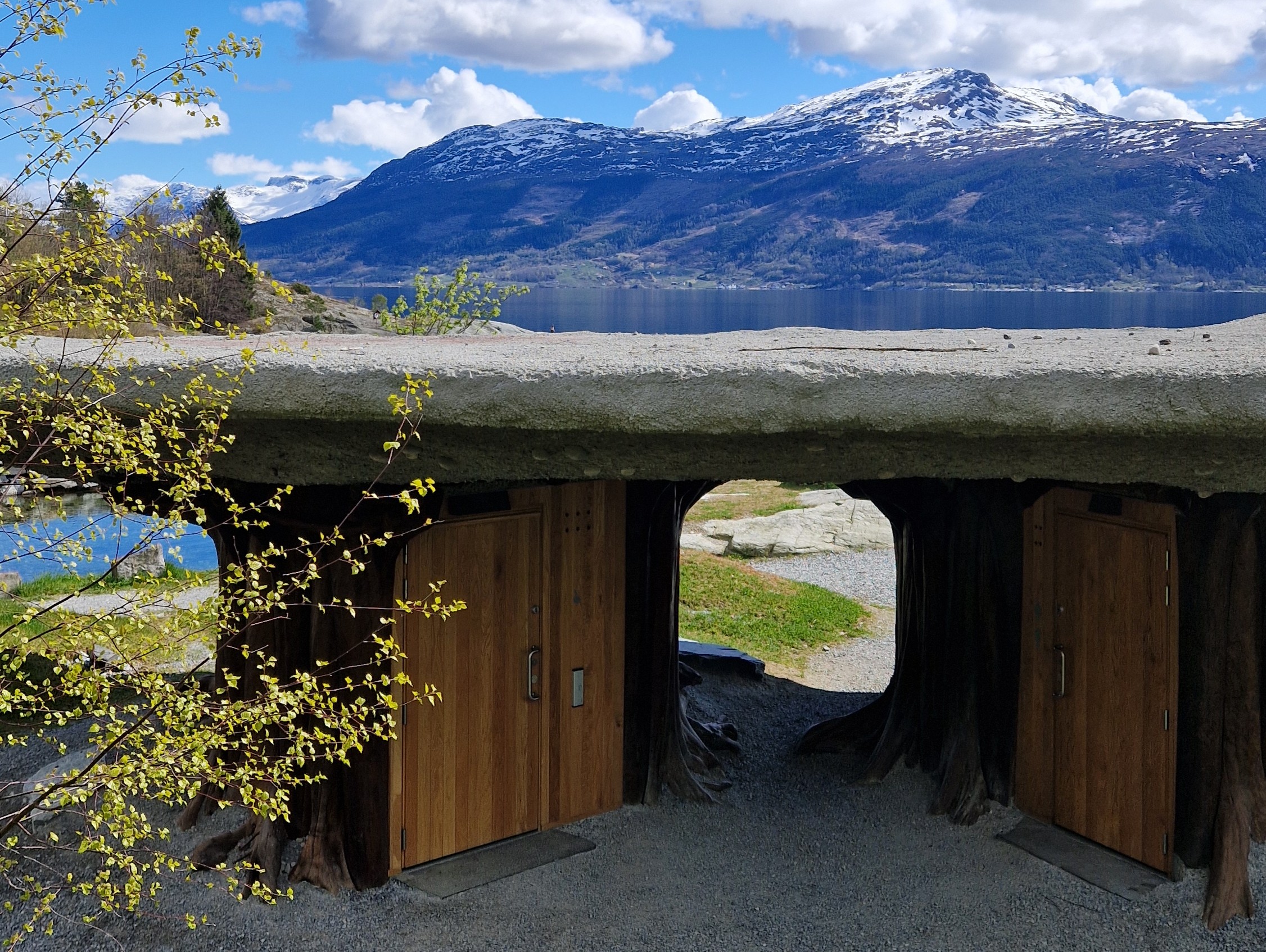 Tyrvefjøra nærme.jpg